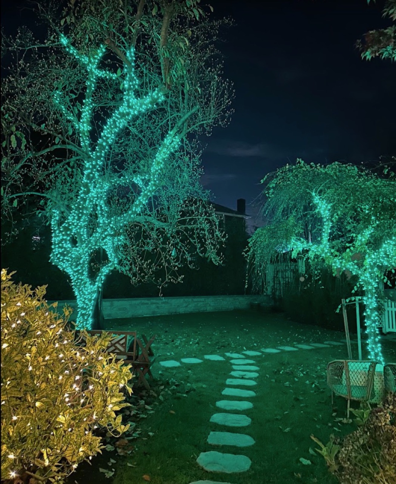 Tree trunks and branches wrapped in green lights